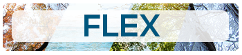 Flex Semesters