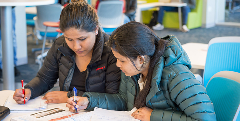 Quincy College students studying in the Anselmo Library